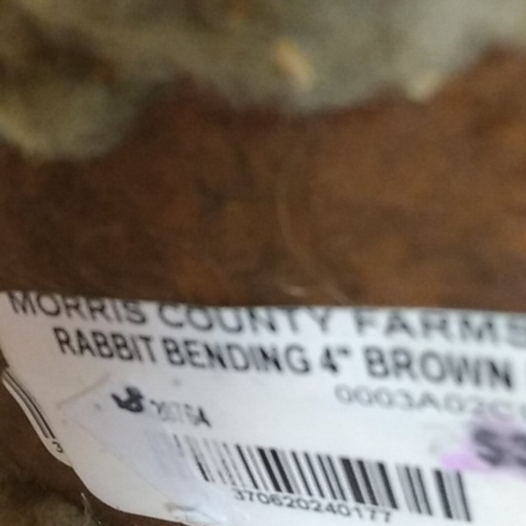 Creepy Wabbits - Picture 8 of 9